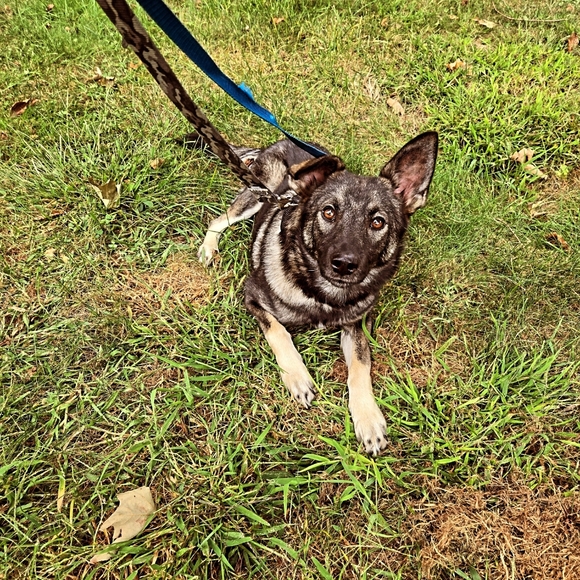 Hi! I'm Chantelle! Welcome to Lady Lily’s Boutique - Picture 7 of 16